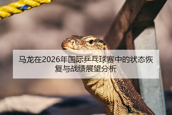 马龙在2026年国际乒乓球赛中的状态恢复与战绩展望分析