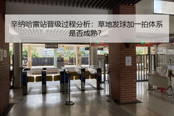 辛纳哈雷站晋级过程分析：草地发球加一拍体系是否成熟？