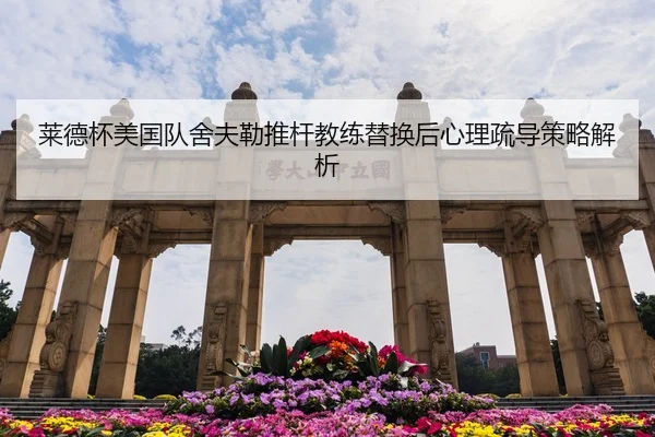 lai-de-bei-mei-guo-dui-she-fu-lei-tui-gan-jiao-lian-ti-huan-hou-xin-li-shu-dao-ce-lve-jie-xi-3-322.jpg