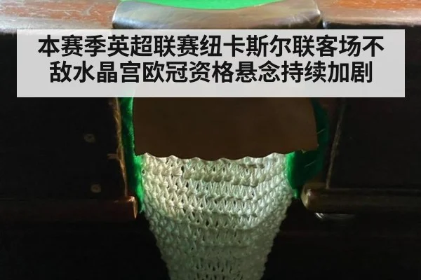 本赛季英超联赛纽卡斯尔联客场不敌水晶宫欧冠资格悬念持续加剧